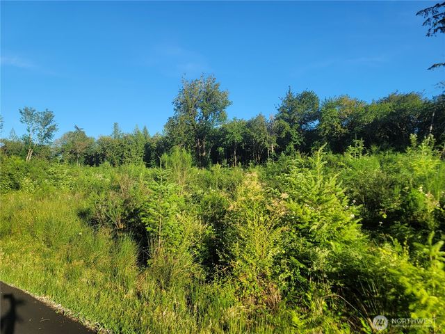 4 Lot 9th Street SW, Lakebay, WA 98349