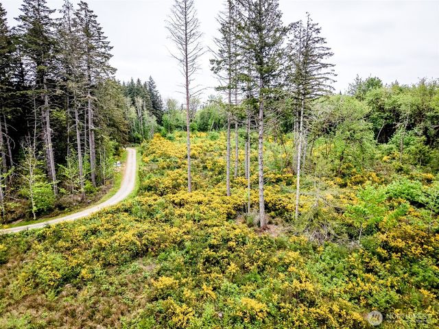 4 Lot 9th Street SW, Lakebay, WA 98349