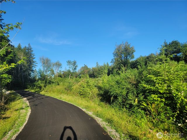 4 Lot 9th Street SW, Lakebay, WA 98349