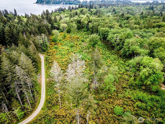 4 Lot 9th Street SW, Lakebay, WA 98349