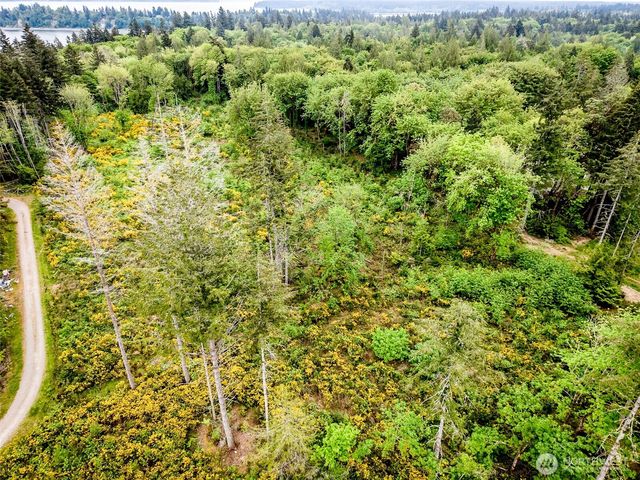4 Lot 9th Street SW, Lakebay, WA 98349