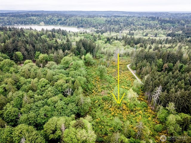 4 Lot 9th Street SW, Lakebay, WA 98349