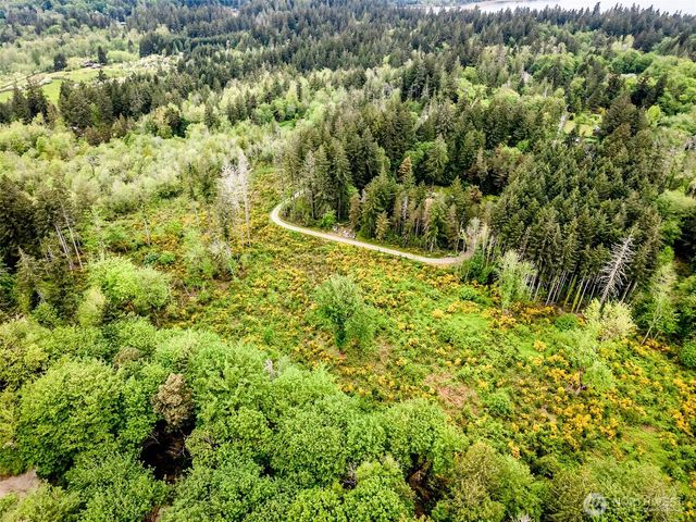 4 Lot 9th Street SW, Lakebay, WA 98349