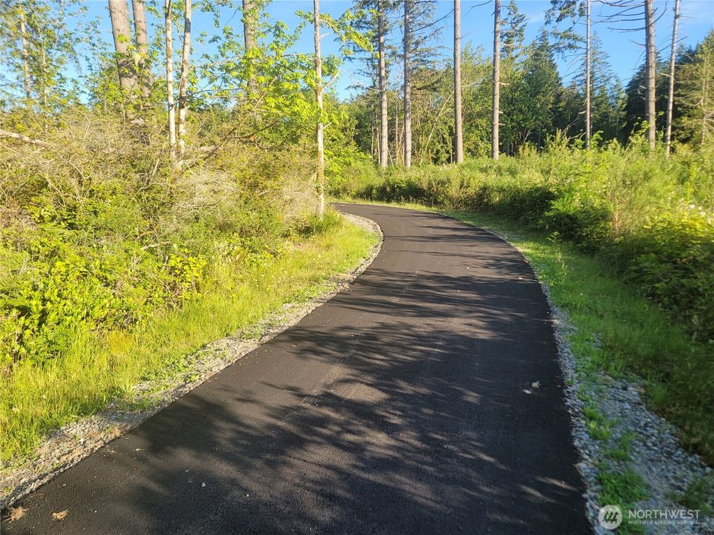 4 Lot 9th Street SW, Lakebay, WA 98349