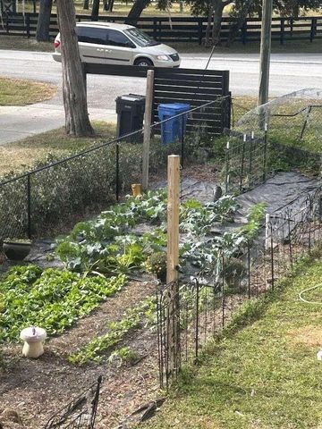 19801 GUNN HIGHWAY, Odessa, FL 33556