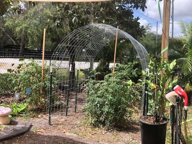 19801 GUNN HIGHWAY, Odessa, FL 33556