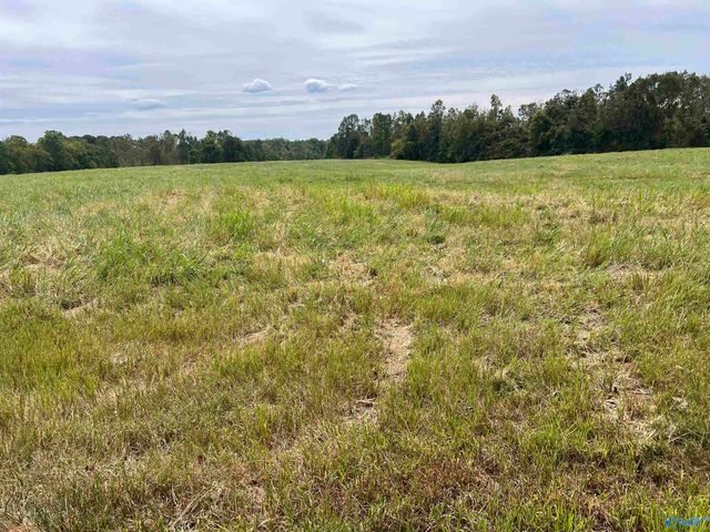 21696 Holland Road, Athens, AL 35614