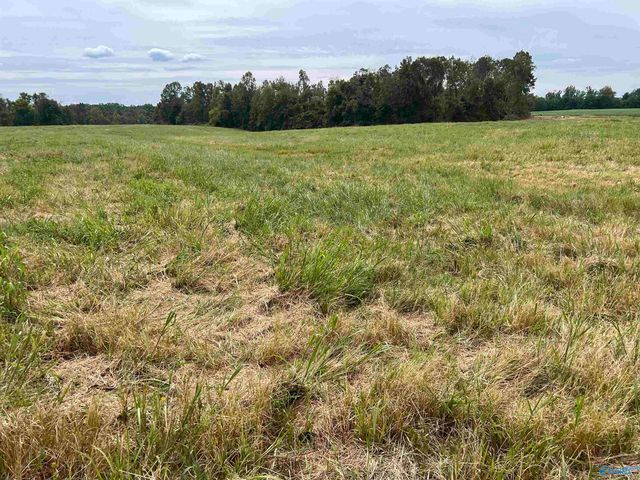 21696 Holland Road, Athens, AL 35614