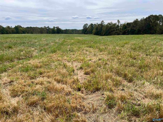 21696 Holland Road, Athens, AL 35614