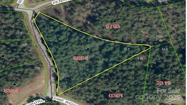 597 Peninsula Reserve Road 34, Nebo, NC 28761