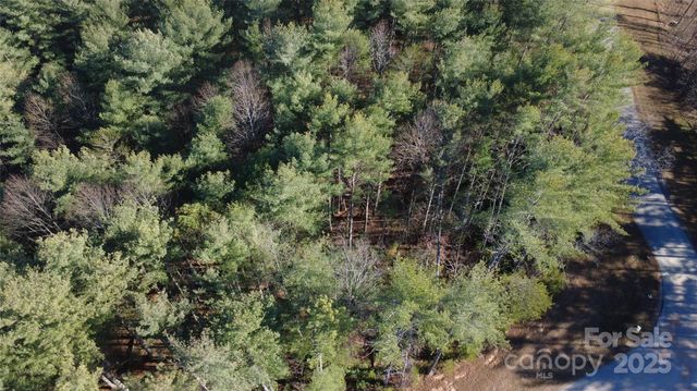 597 Peninsula Reserve Road 34, Nebo, NC 28761