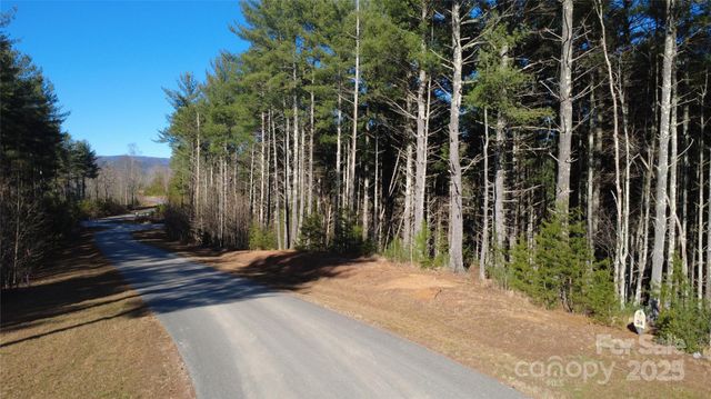 597 Peninsula Reserve Road 34, Nebo, NC 28761