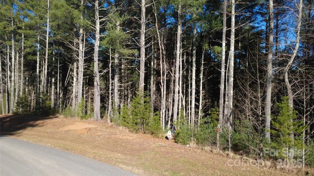 597 Peninsula Reserve Road 34, Nebo, NC 28761