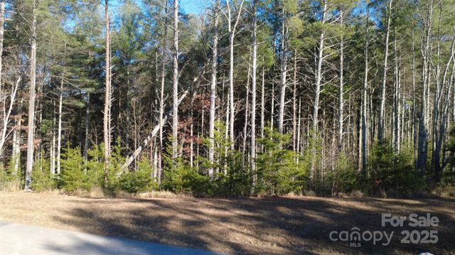 597 Peninsula Reserve Road 34, Nebo, NC 28761