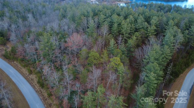 597 Peninsula Reserve Road 34, Nebo, NC 28761