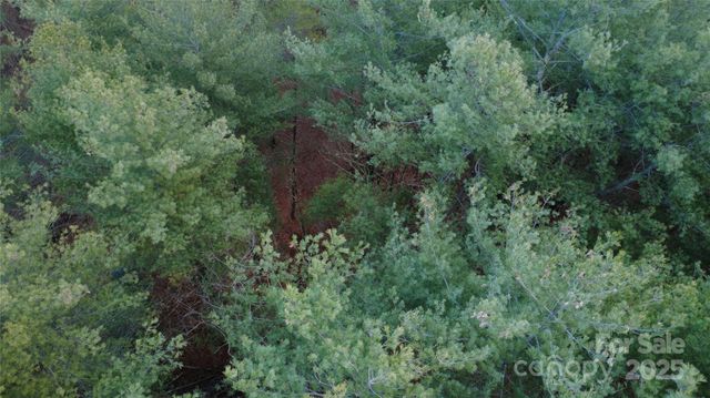 597 Peninsula Reserve Road 34, Nebo, NC 28761