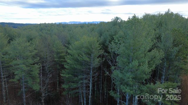 597 Peninsula Reserve Road 34, Nebo, NC 28761