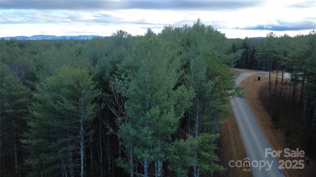 597 Peninsula Reserve Road 34, Nebo, NC 28761