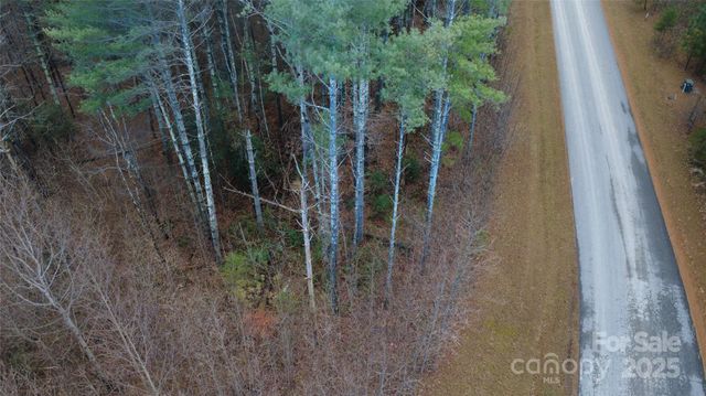 597 Peninsula Reserve Road 34, Nebo, NC 28761
