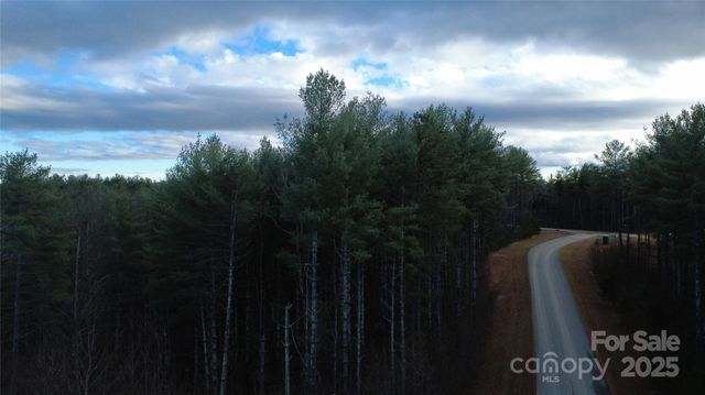 597 Peninsula Reserve Road 34, Nebo, NC 28761