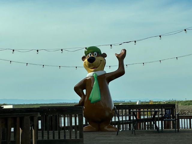 6 Softwind, Lodi, CA 95242