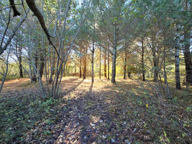 10652 N River Road, Irons, MI 49644