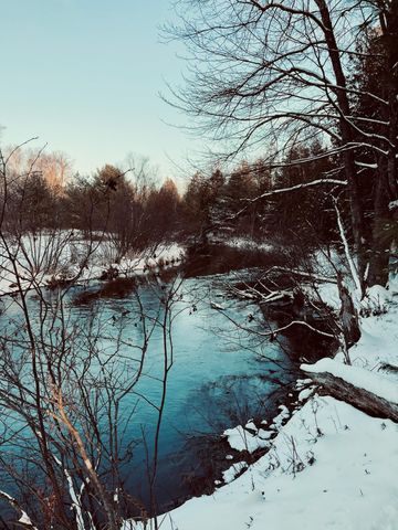 10652 N River Road, Irons, MI 49644