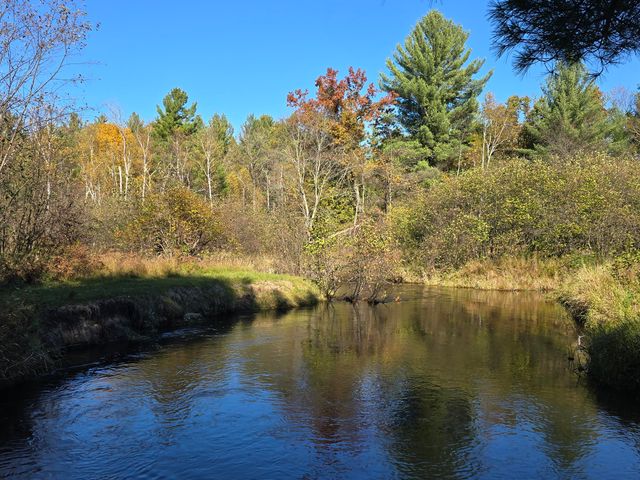 10652 N River Road, Irons, MI 49644