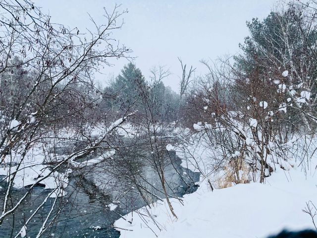 10652 N River Road, Irons, MI 49644