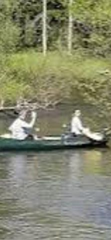 10652 N River Road, Irons, MI 49644