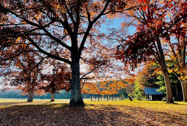 10652 N River Road, Irons, MI 49644