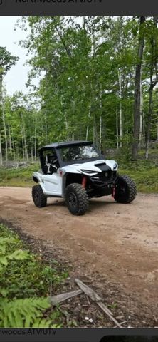 10652 N River Road, Irons, MI 49644