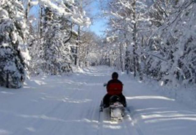 10652 N River Road, Irons, MI 49644