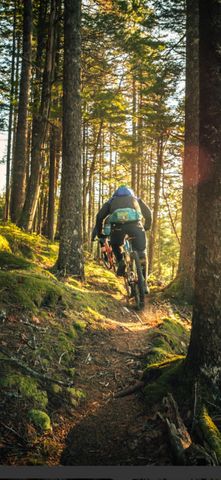 10652 N River Road, Irons, MI 49644