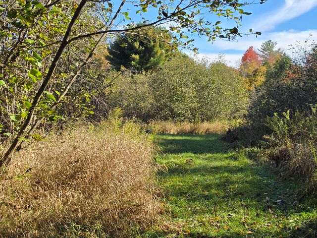 10652 N River Road, Irons, MI 49644