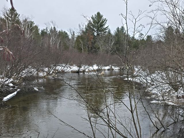 10652 N River Road, Irons, MI 49644