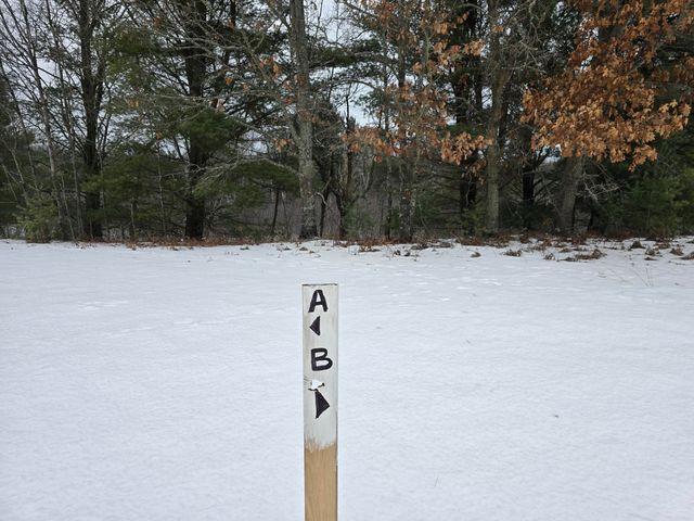 10652 N River Road, Irons, MI 49644