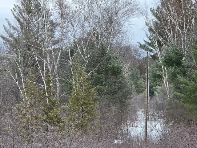 10652 N River Road, Irons, MI 49644