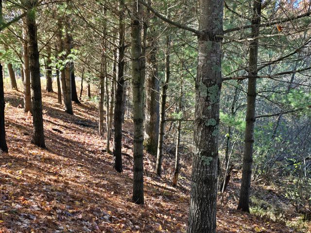 10652 N River Road, Irons, MI 49644