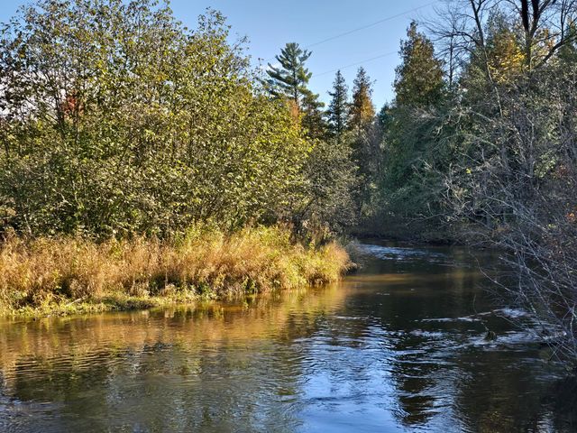 10652 N River Road, Irons, MI 49644