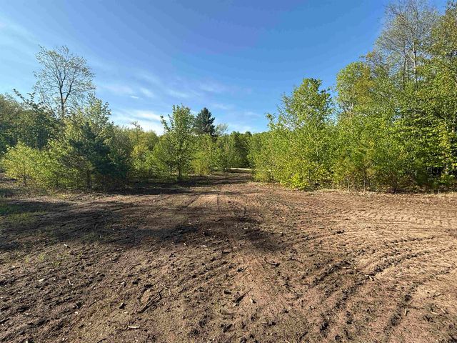 1087 E Solaris Way, Maple City, MI 49664