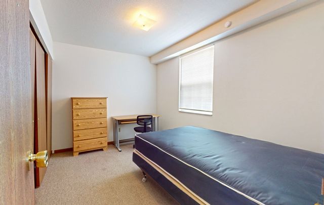 1007 S Locust Street, Champaign, IL 61820