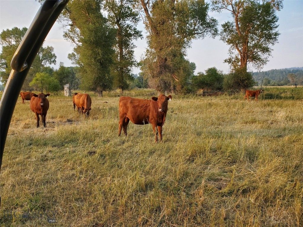 TBD Frontage Rd, Reed Point, MT 59069 photo 50