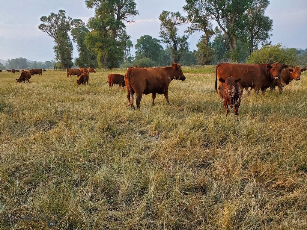 TBD Frontage Rd, Reed Point, MT 59069 photo 51
