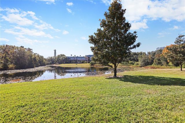 5100 BURCHETTE ROAD 4002, Tampa, FL 33647