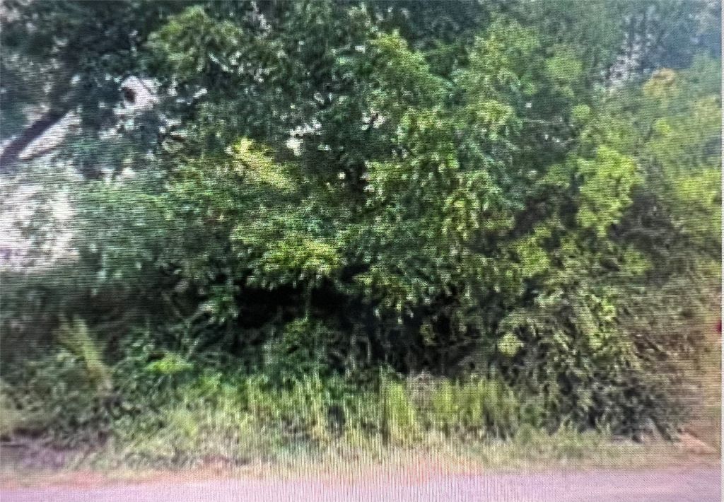 1927 Muncie Avenue, Dallas, TX 75212