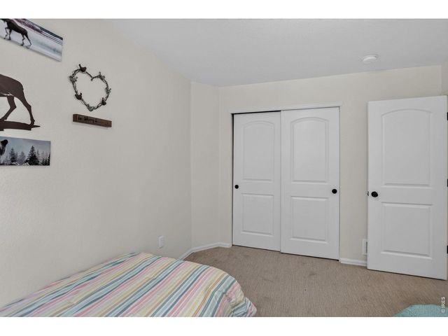 703 Cavern St, Severance, CO 80550
