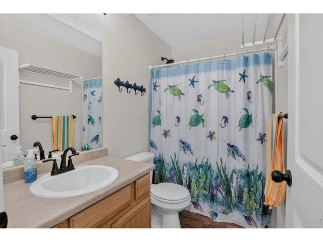 703 Cavern St, Severance, CO 80550