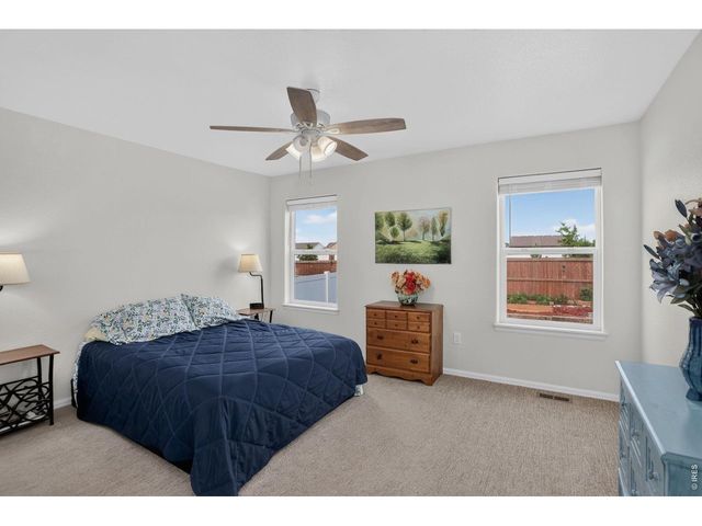 703 Cavern St, Severance, CO 80550