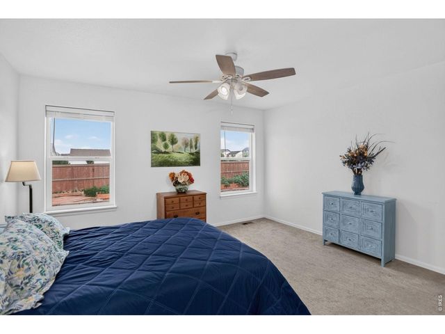 703 Cavern St, Severance, CO 80550